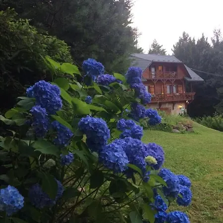 Панське Косів Orman Evi Kosiv