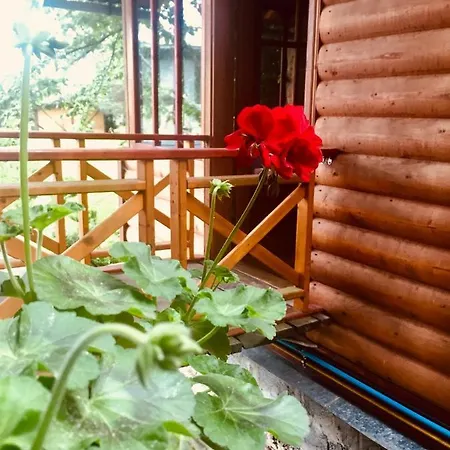 Orman Evi Панське Косів Kosiv